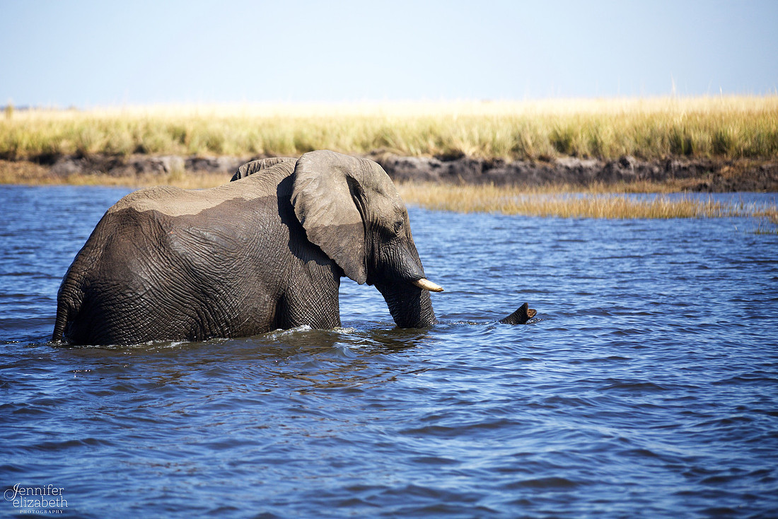 Tanzania and Victoria Falls Travel Photography