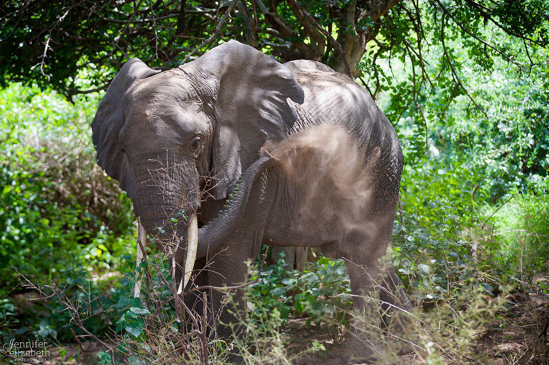 Tanzania and Victoria Falls Travel Photography