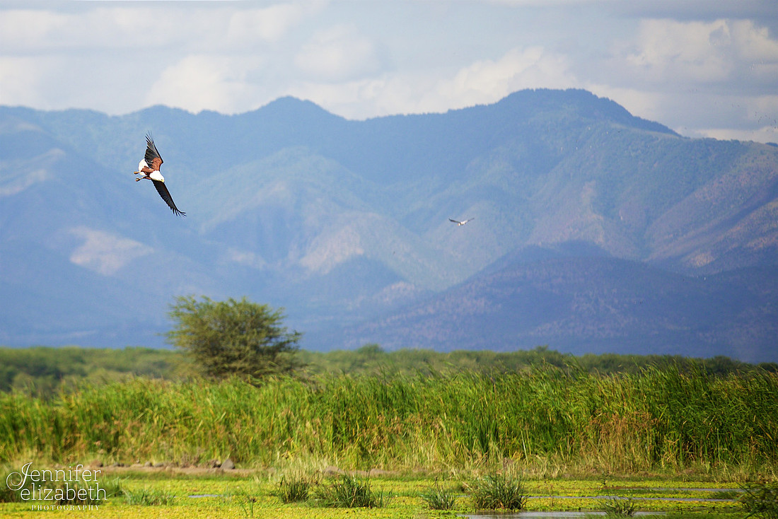 Tanzania and Victoria Falls Travel Photography