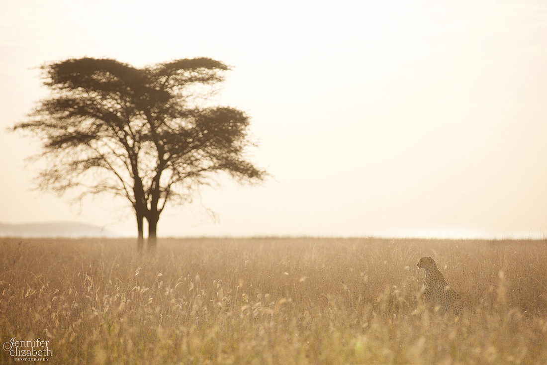 Tanzania and Victoria Falls Travel Photography