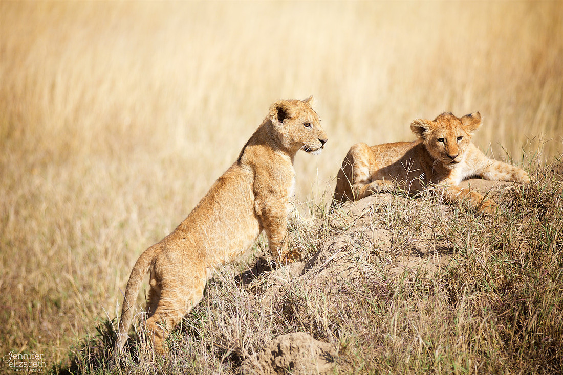 Tanzania and Victoria Falls Travel Photography