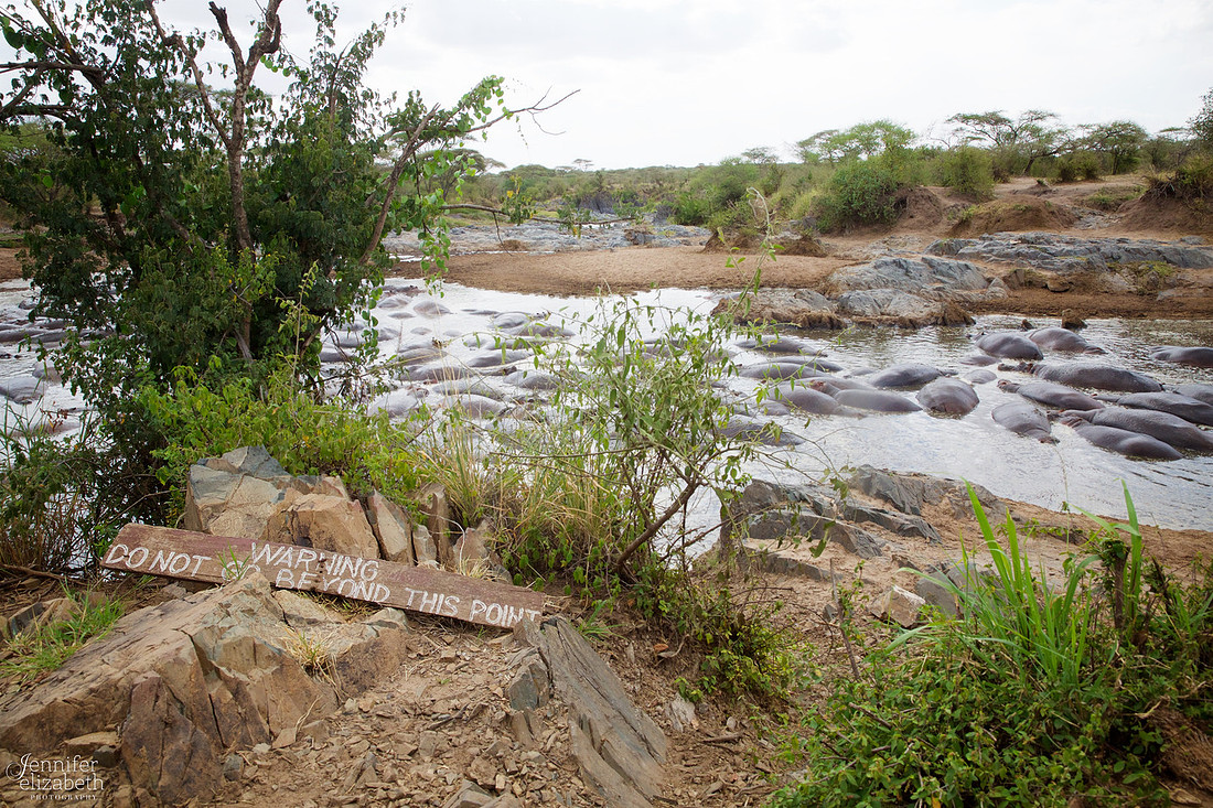 Tanzania and Victoria Falls Travel Photography