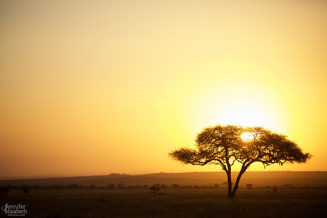 Tanzania and Victoria Falls Travel Photography