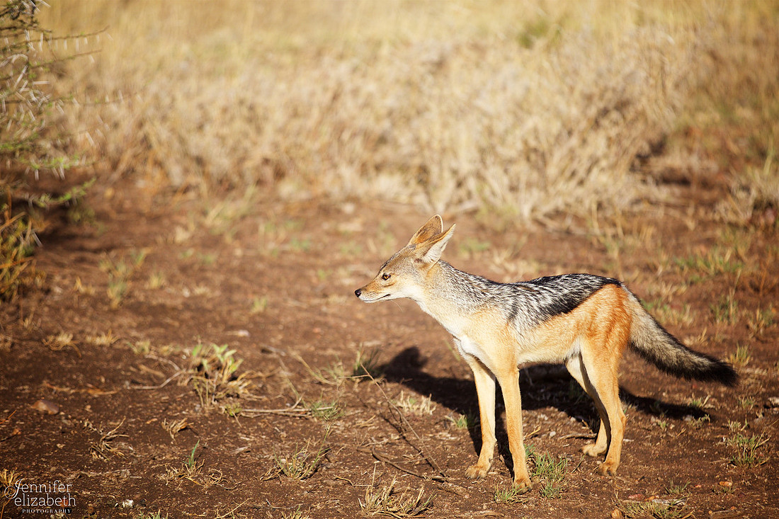 Tanzania and Victoria Falls Travel Photography