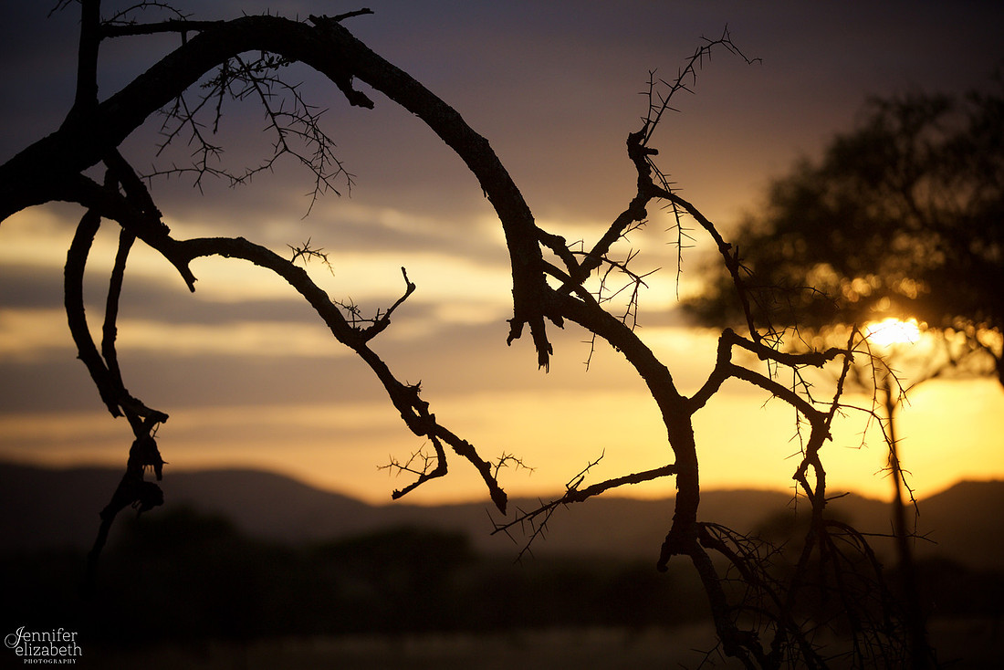 Tanzania and Victoria Falls Travel Photography