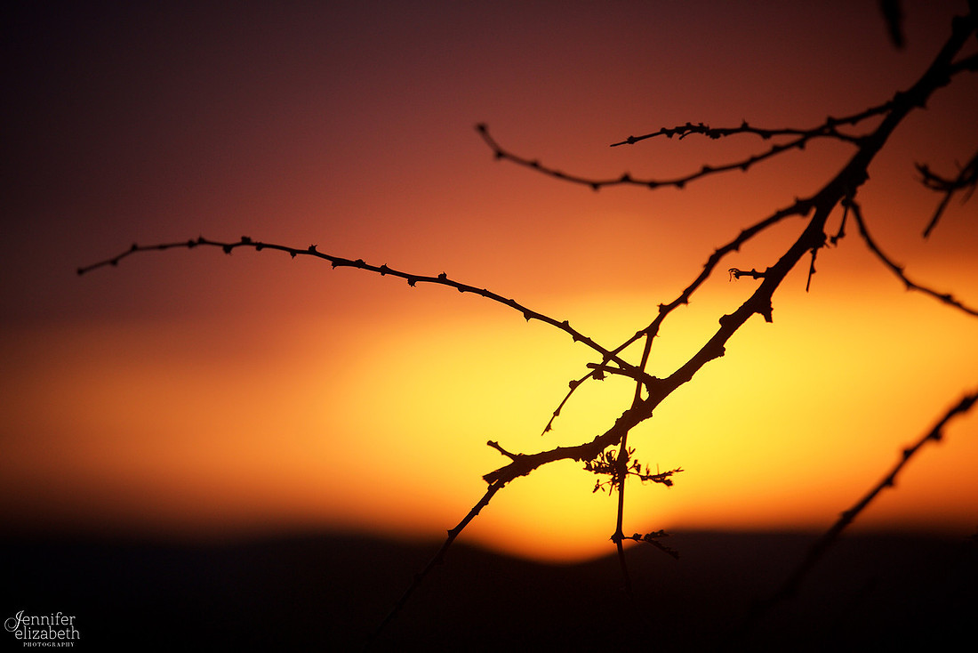 Tanzania and Victoria Falls Travel Photography