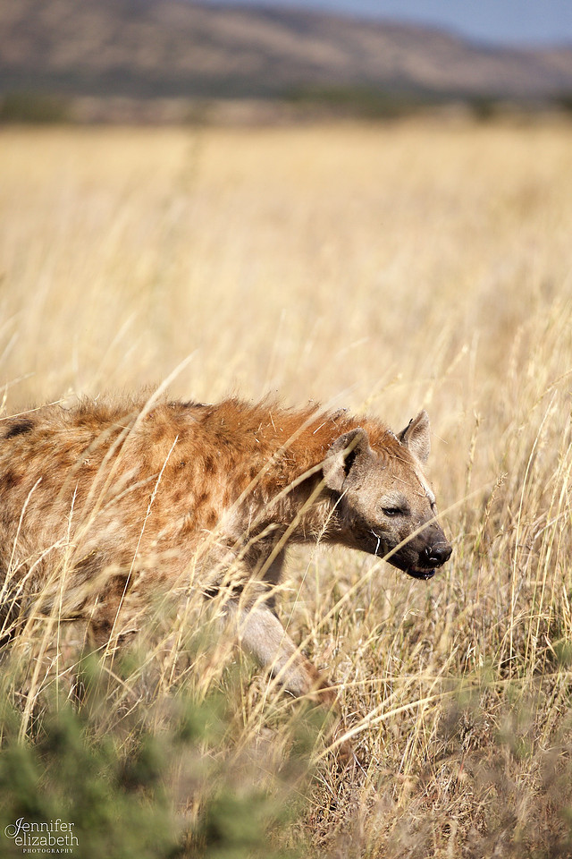 Tanzania and Victoria Falls Travel Photography