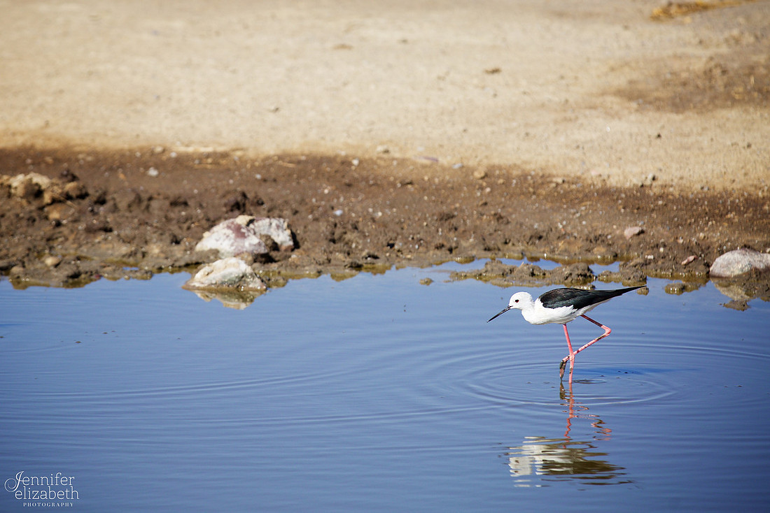 Tanzania and Victoria Falls Travel Photography
