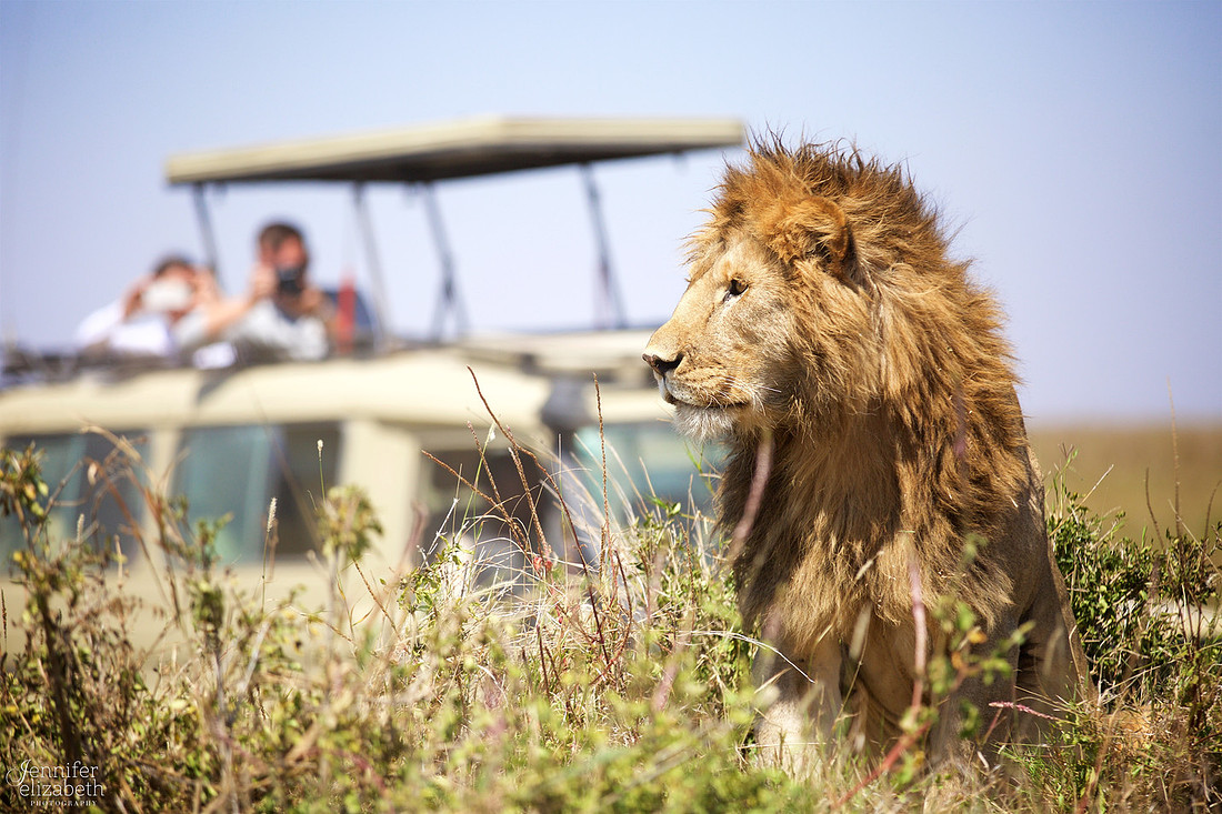 Tanzania and Victoria Falls Travel Photography