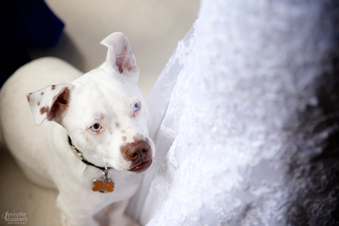 Shannon & Ed: Summer Wedding in Cleveland, Ohio