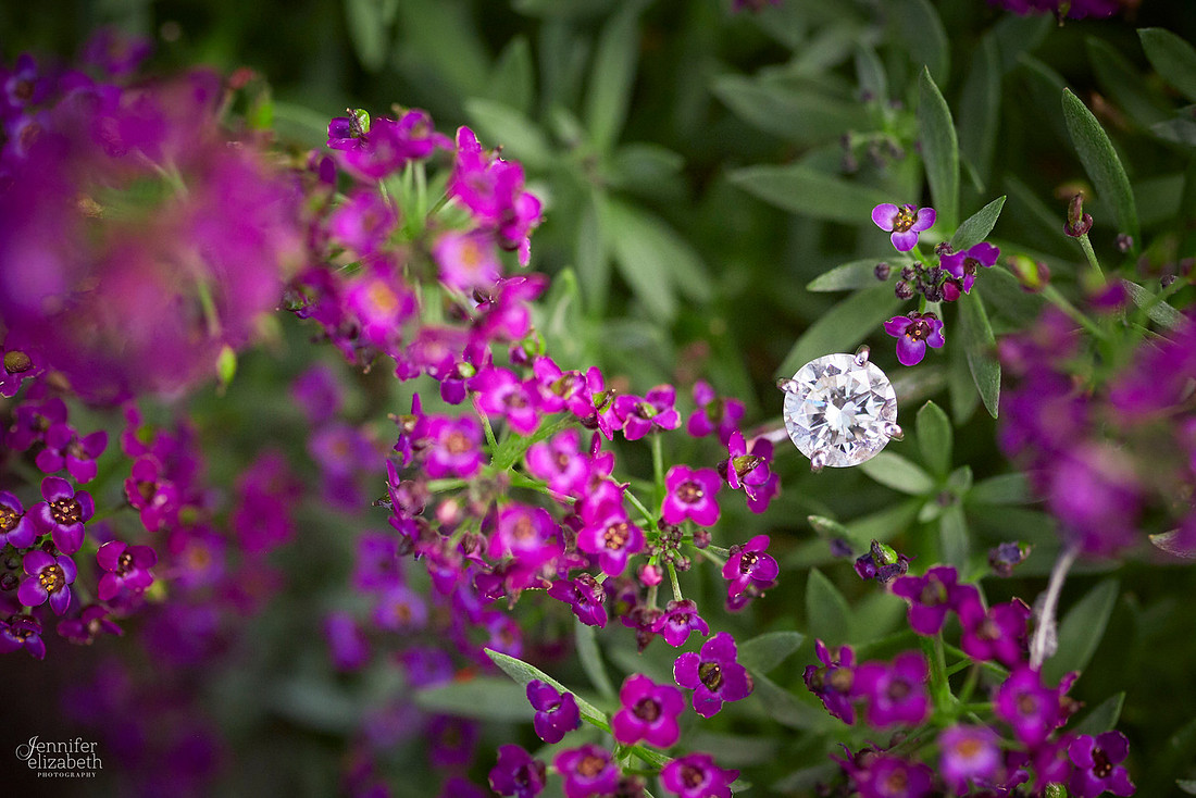 Brooke and Kevin's Engagement Portrait Session in Chagrin Falls