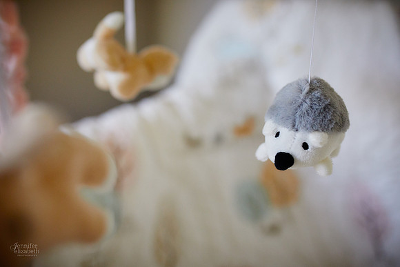 Baby Peyton: Lifestyle Newborn Session in Chagrin Falls, Ohio