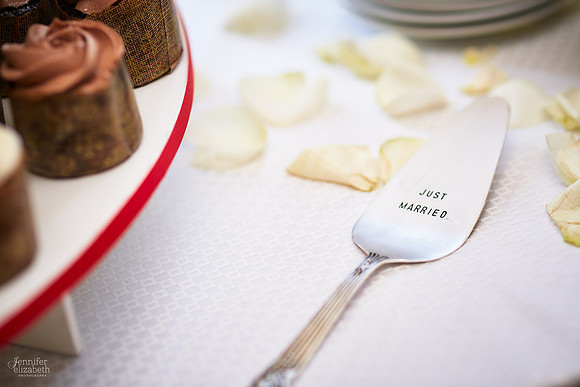 Melissa & Charles: Cincinnati Marriott Rivercenter Wedding