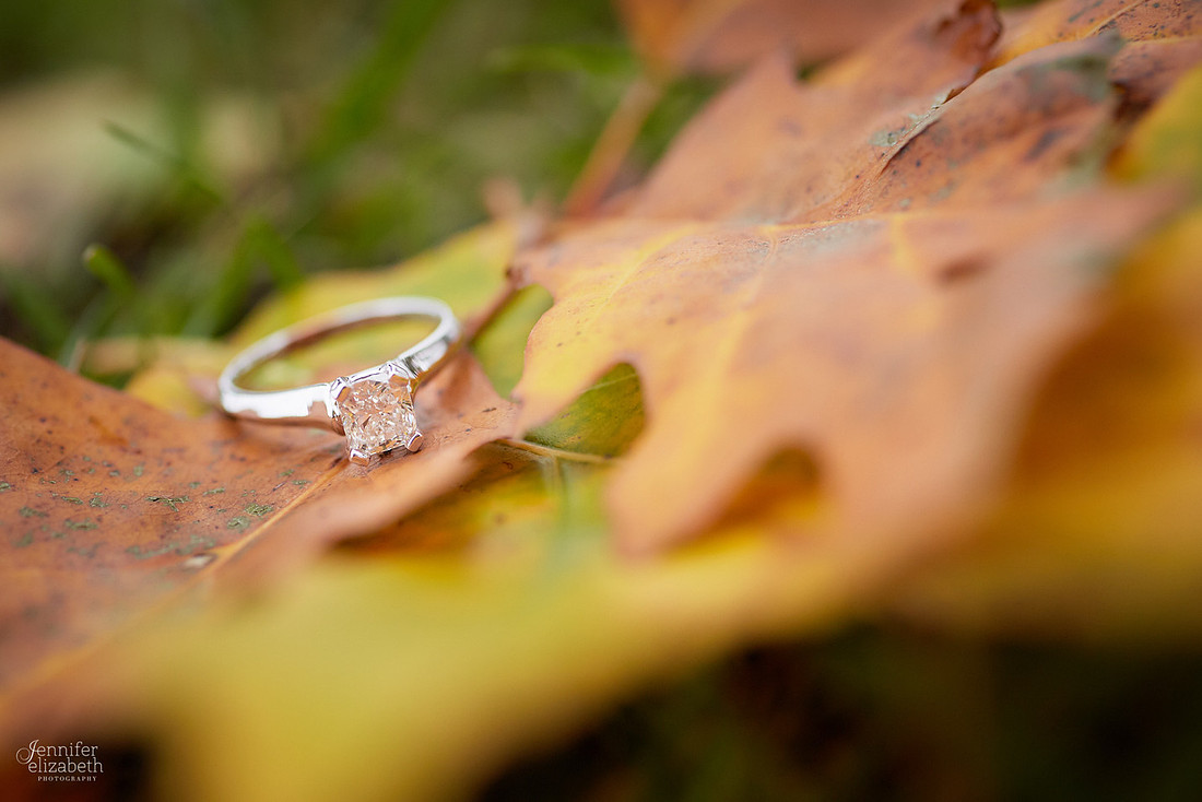 Emily and Colin: Proposal at Geneva on the Lake