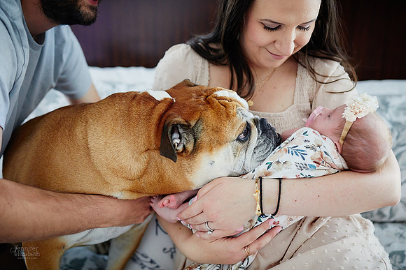 Madilyn: Lifestyle Newborn Session in Avon