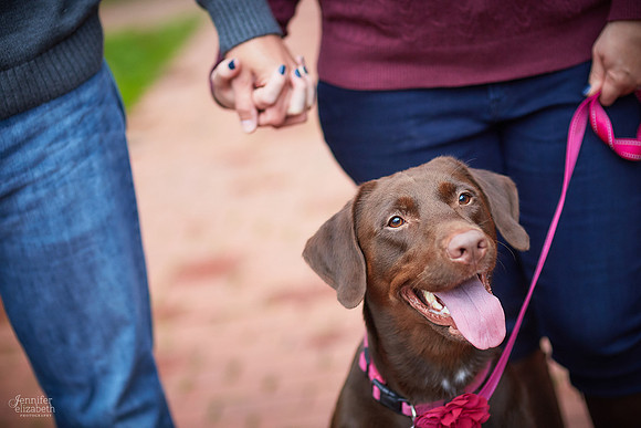 Laura & Matt: Engagement Session at Fortier Park