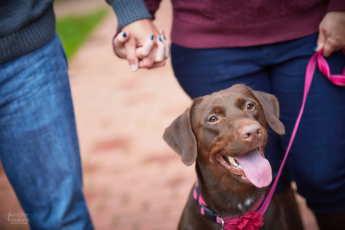Laura & Matt: Engagement Session at Fortier Park