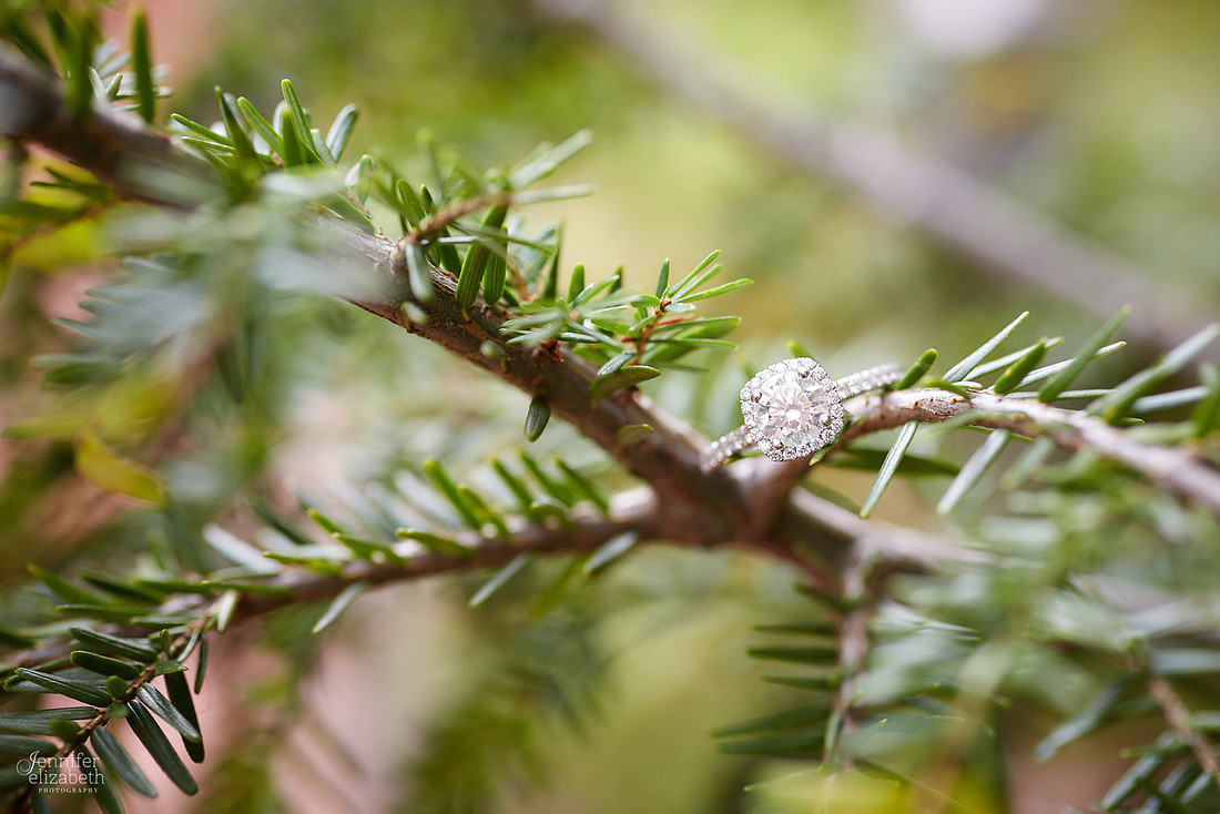 Laura & Matt: Engagement Session at Fortier Park
