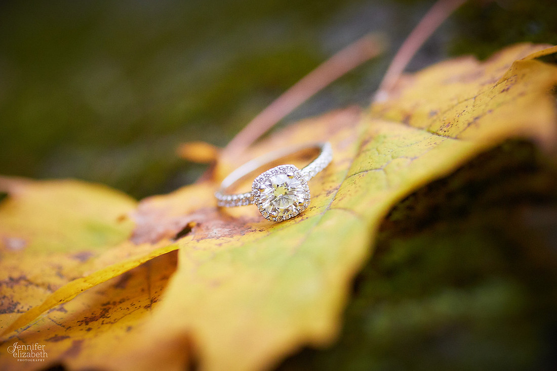 Laura & Matt: Engagement Session at Fortier Park