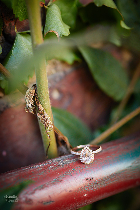 Katie & Sam: Engagement Session in The Flats