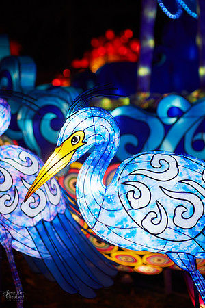 Chinese Lantern Festival in Columbus