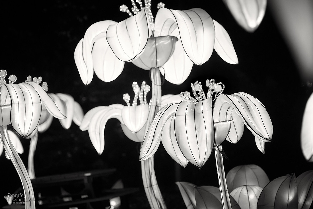 Chinese Lantern Festival in Columbus