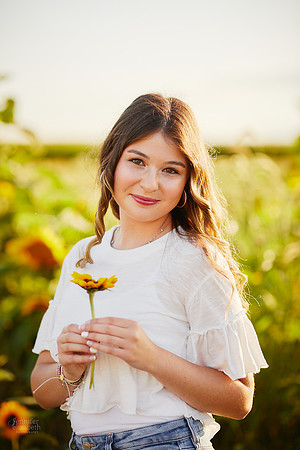 Rachel: Senior Sunflower Session at Ramseyer Farms in Wooster