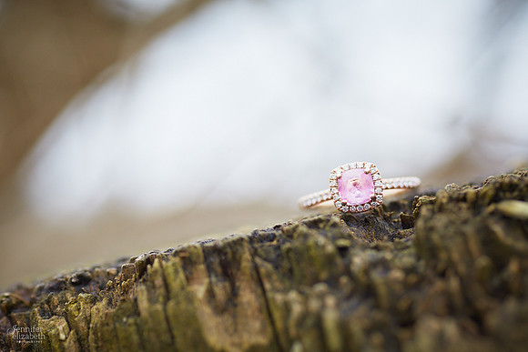 Emily & Colin: Engagement Session with Horse in Xenia, Ohio