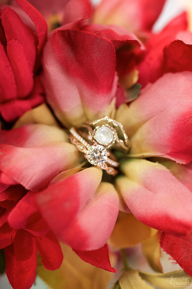 Christina and Liz: Same Sex Cleveland Wedding