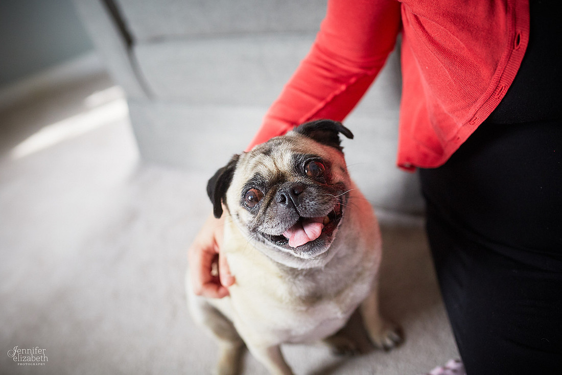 Zoey: Lifestyle Newborn Session in Cleveland