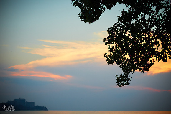 The V Family: Portrait Session at Edgewater Park