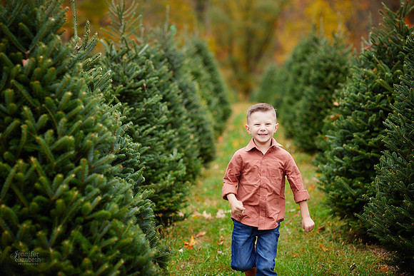Mini Holiday Portrait Sessions at Sugar Pines Farm in Chesterland