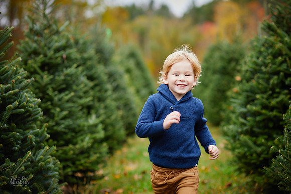 Mini Holiday Portrait Sessions at Sugar Pines Farm in Chesterland