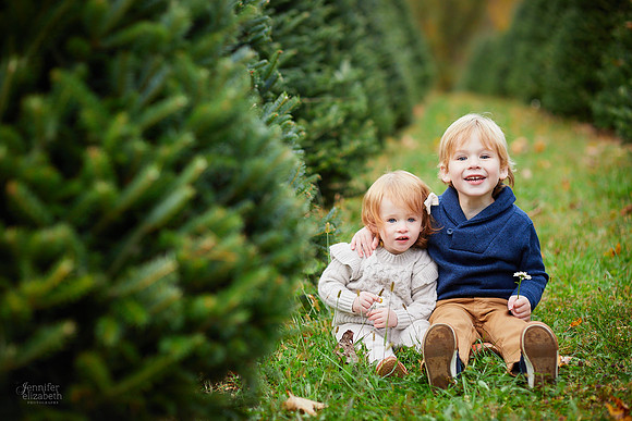 Mini Holiday Portrait Sessions at Sugar Pines Farm in Chesterland