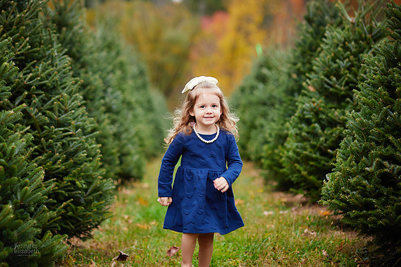 Mini Holiday Portrait Sessions at Sugar Pines Farm in Chesterland