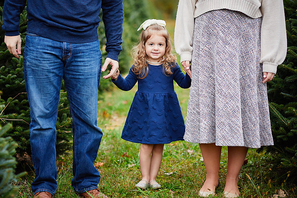 Mini Holiday Portrait Sessions at Sugar Pines Farm in Chesterland