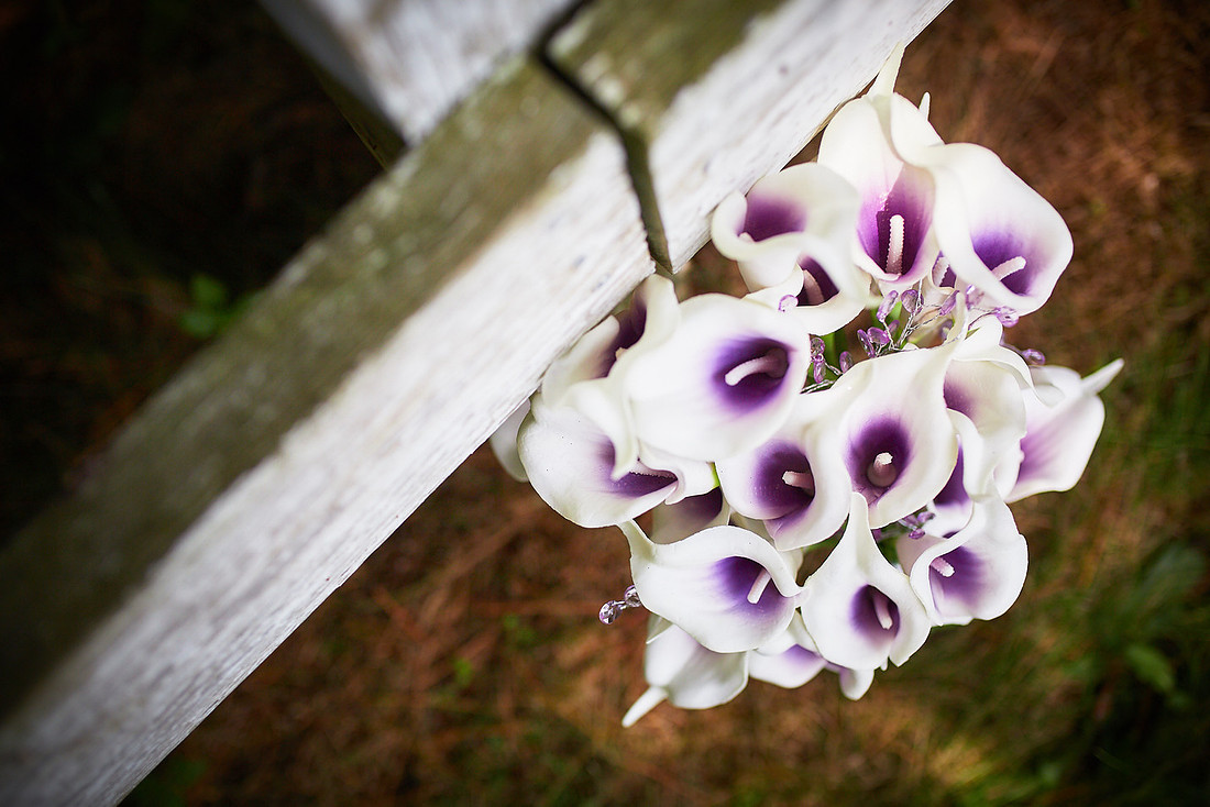 Hannah & Ryan: Backyard Wedding in North Canton