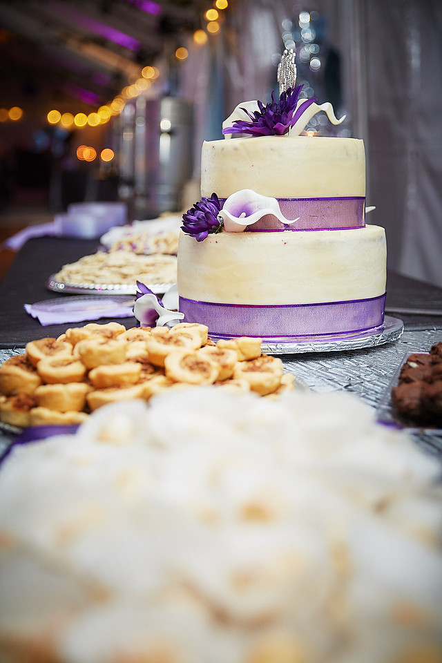 Hannah & Ryan: Backyard Wedding in North Canton
