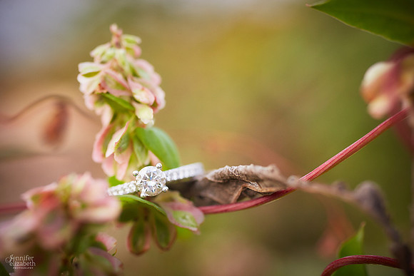 Melissa & Justin: Engagement Session at Edgewater Park