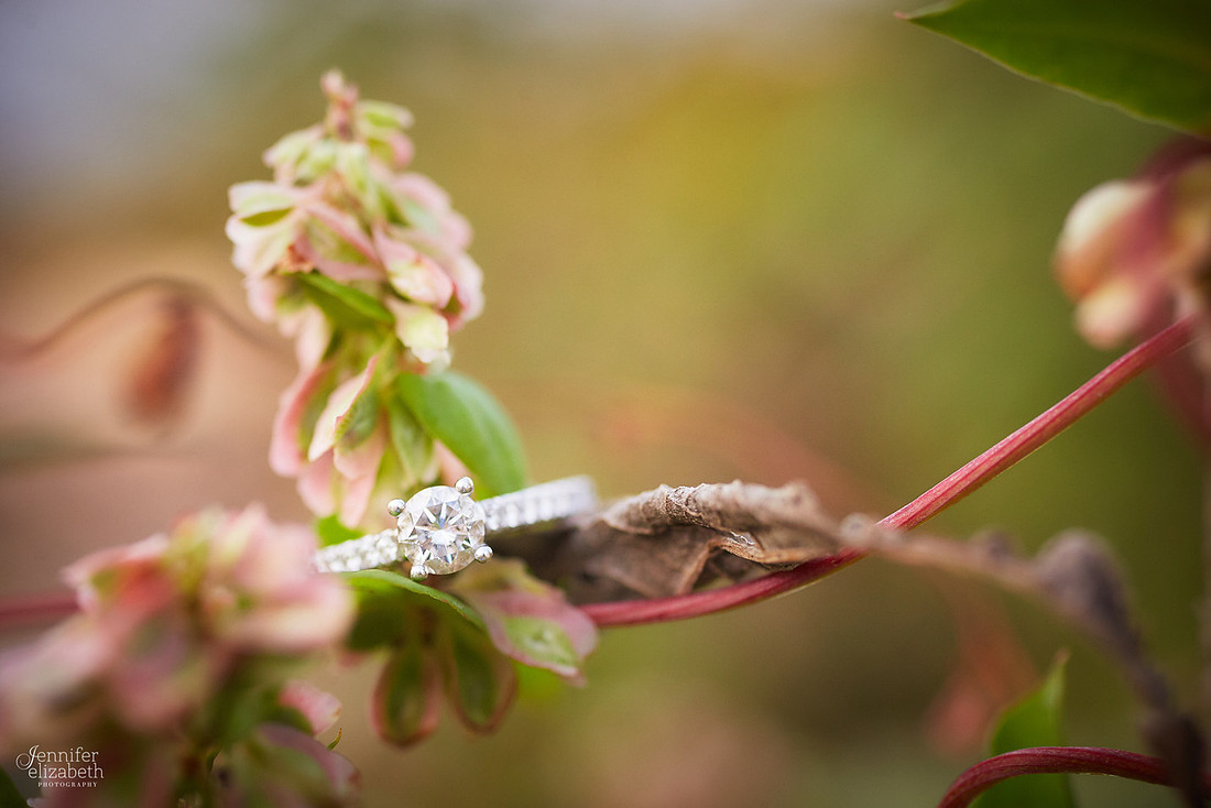 Melissa & Justin: Engagement Session at Edgewater Park