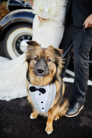 Joanie & Tommy: Wedding at Springvale Golf Course & Ballroom in North Olmsted