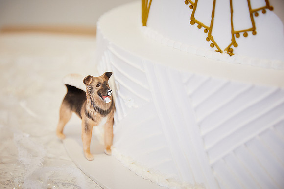 Joanie & Tommy: Wedding at Springvale Golf Course & Ballroom in North Olmsted
