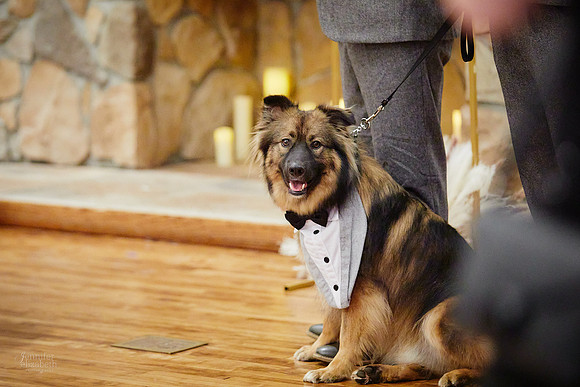 Joanie & Tommy: Wedding at Springvale Golf Course & Ballroom in North Olmsted