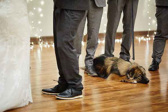 Joanie & Tommy: Wedding at Springvale Golf Course & Ballroom in North Olmsted