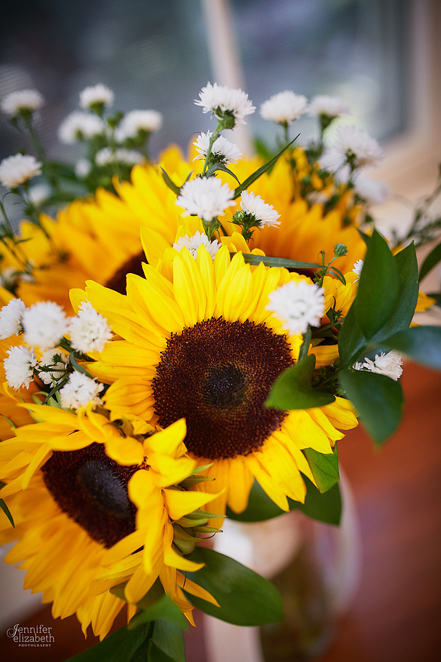 Allyson and Joe's Fall Backyard Wedding in Novelty