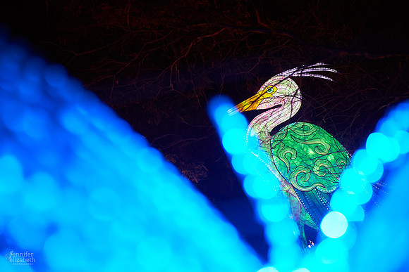 Chinese Lantern Festival in Columbus