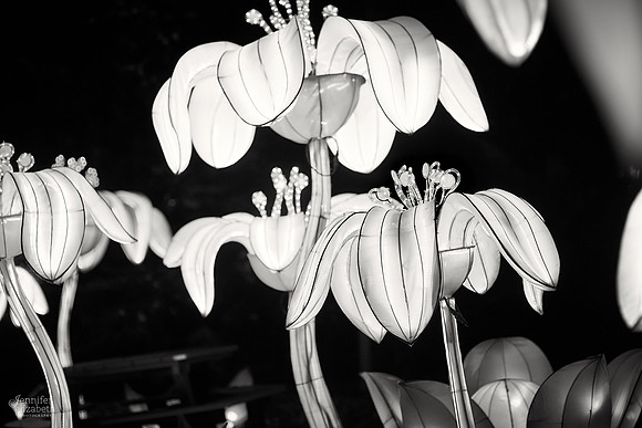 Chinese Lantern Festival in Columbus