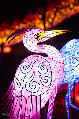 Chinese Lantern Festival in Columbus