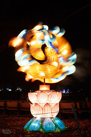 Chinese Lantern Festival in Columbus