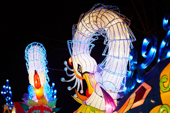 Chinese Lantern Festival in Columbus